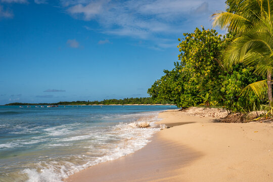Guadeloupe - Amazing caribbean beach with many colors from drone view