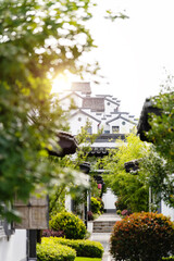 Chinese ancient buildings behind green trees