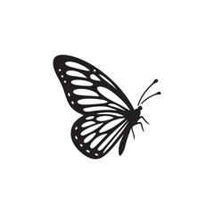 Butterfly Silhouette: Sunlit Wings in Morning Breeze, Nature's Radiant Choreography Unfolding

