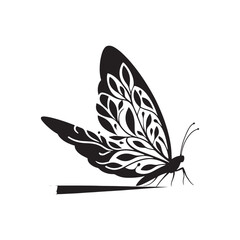 Golden Hour Ballet: Butterfly Silhouette Dances Under the Sun's Warm Embrace, A Radiant Nature's Ode
