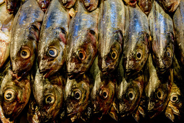 Fish for sale in a market, Santiago