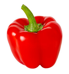 One bell red pepper isolated on white background