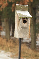 Wooden birdhouse with winter icicles 