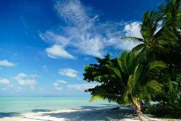 Tropical Beach at Nunukan island, Maratua Atoll, Indonesia 