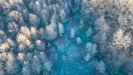 Southern Wetlands in Winter (Aerial Photograph)