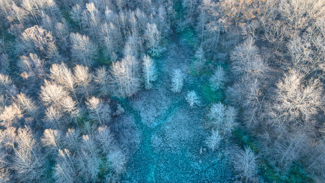 Southern Wetlands in Winter (Aerial Photograph)