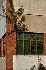 The corner of an old abandoned warehouse building, through the window you can see that a tree has grown inside, and one branch came out through the crack, a scene that nature does not like emptiness