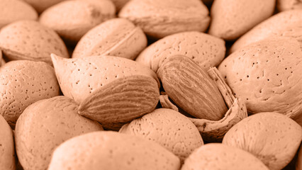 Almond nuts background. Shelled organic almond fruit kernel closeup on whole nuts. Season harvest.