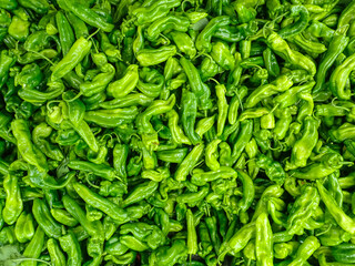 pepper, bell, bell pepper, plant, green, capsicum, vegetable, peppers, sweet, green bell pepper, green bell pepper plant, agriculture, organic, harvest, garden, paprika, healthy, fresh, food, leaf.