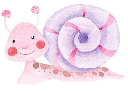 Cute cartoon snail.Small reptile painted in watercolor.Suitable for children.