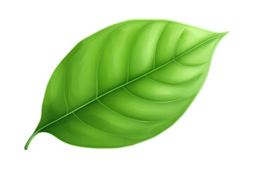 green leaf isolated on transparent background - obrazy, fototapety, plakaty
