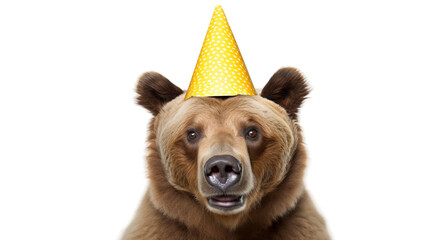 Bear in Party Cap on a transparent background