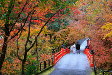 Autumn colorful scenery in Kyoto