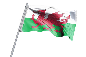 Welsh flag on transparent background.