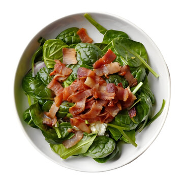 Keto Spinach Salad with Warm Bacon Dressing Illustration Art with a Transparent Background Generative AI.
