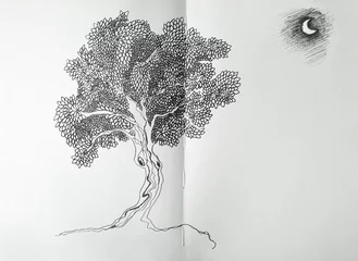 Fotobehang Surrealisme Beautiful graphic tree and moon in black and white