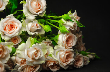 Bouquet of pink roses on black background