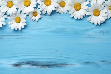 daisy flowers on blue wooden background
