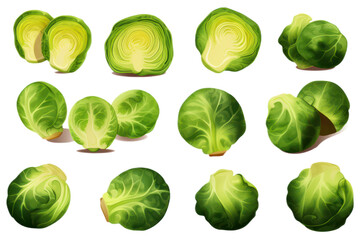 set sprouts on transparent background