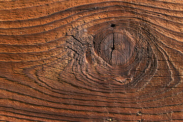Obraz premium Brązowa chropowata drewniana deska z widocznymi słojami i sękiem - tło