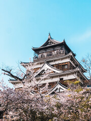 Naklejka premium hiroshima castle