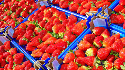 baskets of red strawberries for sale in the fruit and vegetable market