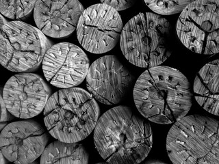 Kunstvolle Holzbiege eine Nahaufnahme von individuellen Baumstämmen