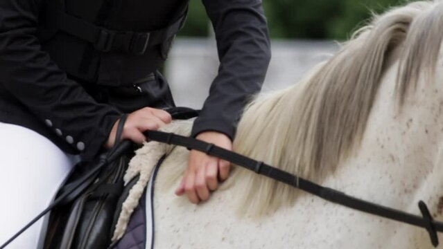 Following Slow Motion Close Up Shot of The Horsewoman Sitting on a White Horse and Stroking it