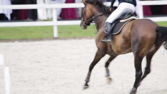 Following Slow Motion Wide Shot of Equestrian with Horse Successfully Jumping Over Obstacle in Competition