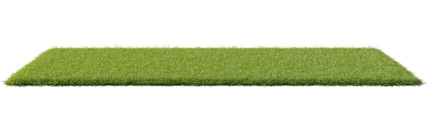 Yoga mat grass  screw 3D illustration
