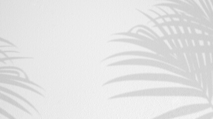 Background White Wall Studio with Light,Palm leaves Shadow,Empty Display Room Background with Sunlight effect on Wall Texture,Backdrop Banner Cement Surface,Concept for  Spring,Summer Cosmetic Product