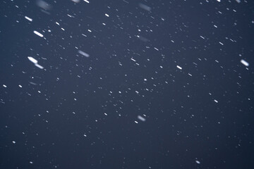 Falling Snow on a Black Background. The texture of real snow falling from the sky during a snowfall.