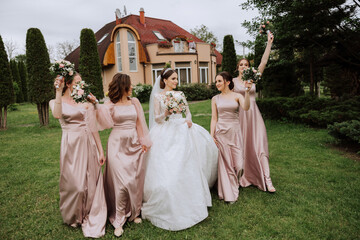 Group portrait of the bride and bridesmaids. Bride in a wedding dress and bridesmaids in pink or...