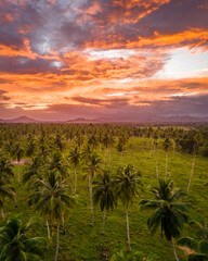 Fototapeta na wymiar Sunrise in Miches, Dominican Republic