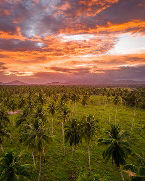 Sunrise in Miches, Dominican Republic