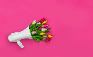 Tulips, megaphone with empty copy space template. Mockup blank space for Mother's Day, Sister's...