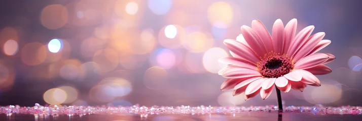 Foto op Plexiglas Pink gerbera daisy on magical bokeh background with ample copy space for text placement © Ilja