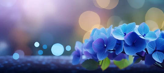 Rolgordijnen Blue hydrangea on isolated magical bokeh background with copy space for text placement © Ilja