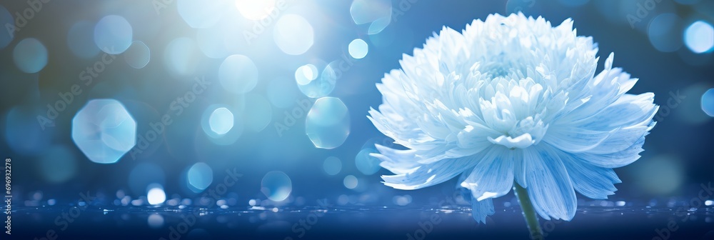 Poster white carnation on isolated magical bokeh background with copy space for text placement