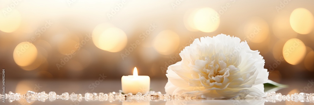 Poster white carnation with delicate petals on magical bokeh background, perfect for text placement