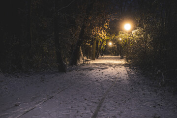 nocna alejka w parku podczas zimy ze śniegiem