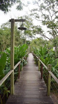 South East Asian-style resort wooden house or wooden hut in forest in Muang Xai, Laos PDR, 2024