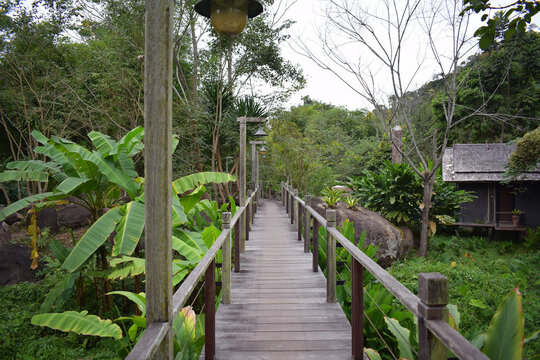 South East Asian-style resort wooden house or wooden hut in forest in Muang Xai, Laos PDR, 2024