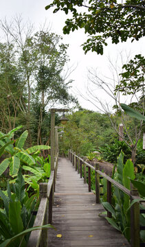South East Asian-style resort wooden house or wooden hut in forest in Muang Xai, Laos PDR, 2024