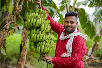 Indian farmer, young, in a banana field