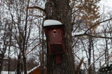 bird house in the forest