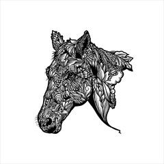 black and white horse