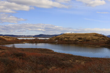 Mývatn is a shallow lake situated in an area of active volcanism in the north of Iceland, near Krafla volcano