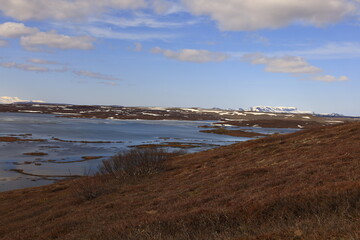 Mývatn is a shallow lake situated in an area of active volcanism in the north of Iceland, near Krafla volcano