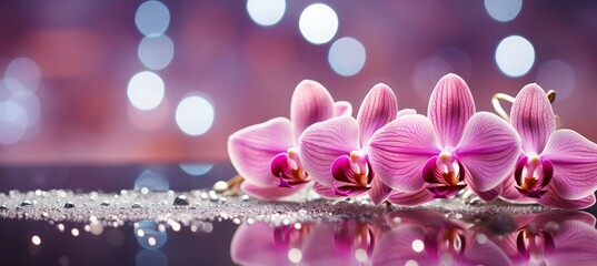 Beautiful pink orchid with magical bokeh background and copy space for text placement